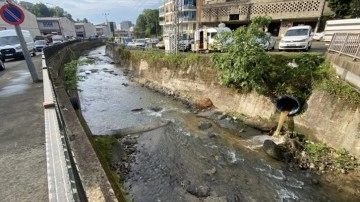 Rize’de derede balık ölümlerine inceleme başlatıldı