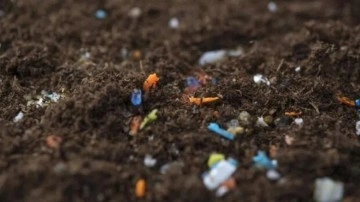 Salata değil, plastik yiyoruz! Tarım ürünlerindeki sessiz tehlike