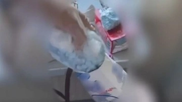 Samsun’da meyve suyu ve süt kutularından uyuşturucu çıktı