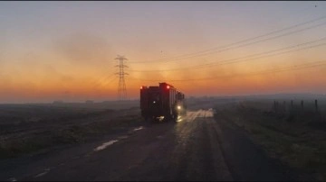Silivri'deki orman yangınına ilişkin 2 şüpheliye tutuklama