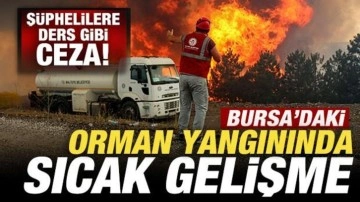 Son dakika: Bursa'da havai fişekle yangın çıkaranlara ders gibi ceza! 1 kişi tutuklandı