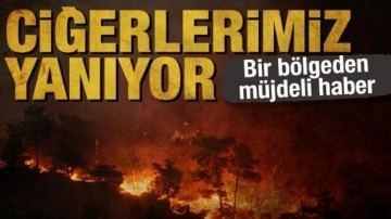 Son dakika: Orman yangınlarında son durum! Çeşme'deki yangın kontrol altında