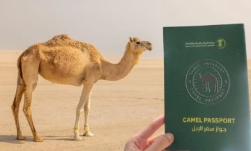  Suudi Arabistan develere kimlik verecek