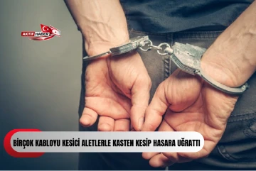  Telekom&uuml;nikasyon Dairesi&rsquo;ne ait direklerdeki kabloları kesip, hasar veren iki kişi tutuklandı