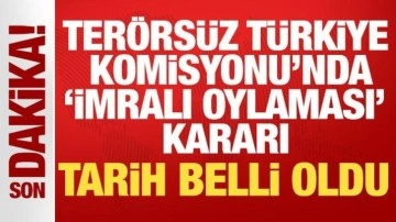 Terörsüz Türkiye Komisyonu'nda ‘İmralı oylaması’ kararı: Tarihi belli oldu!