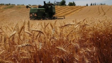 TMO 2025 yılı hububat alım fiyatlarını açıkladı