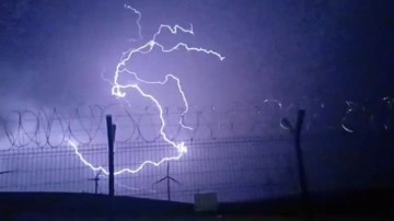Tokat’ta fırtına nedeniyle ağaçlar devrildi