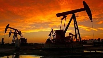 Türkiye'ye petrol, doğal gaz ve madencilik çağrısı! Trilyon dolarlık fırsat